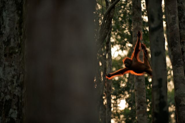 Лучшие фото от National Geographic