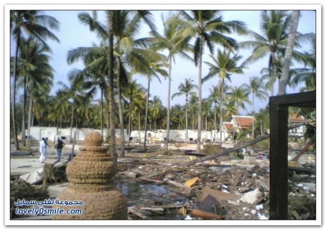 До и после цунами