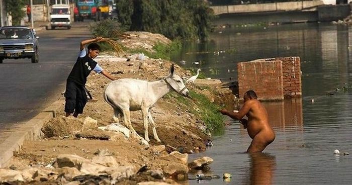 Фото приколы дня