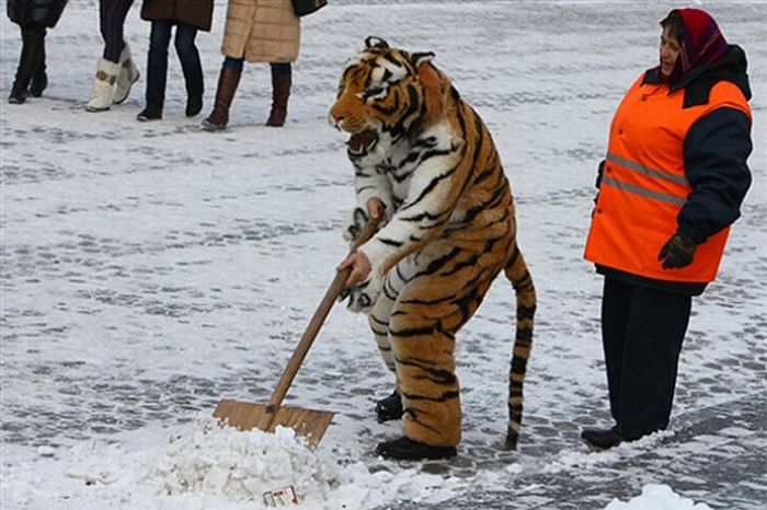 Фото приколы дня