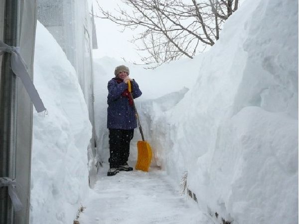 Завалило