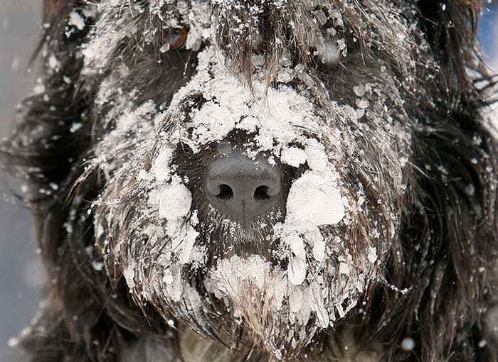 Фото приколы дня