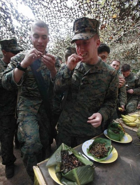Пожелаем этим солдатам приятного аппетита