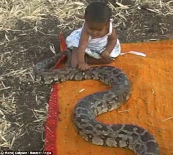 Малыши из Индии играются мервыми змеями вместо игрушек