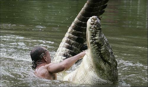 Необычная дружба с крокодилом