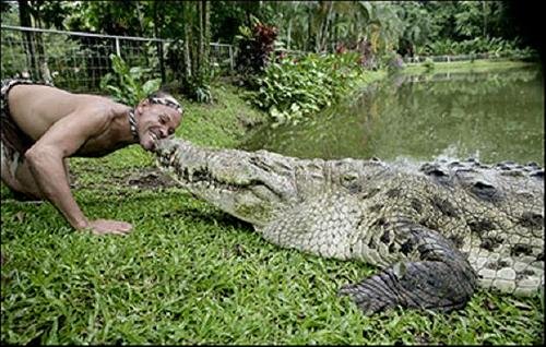 Необычная дружба с крокодилом