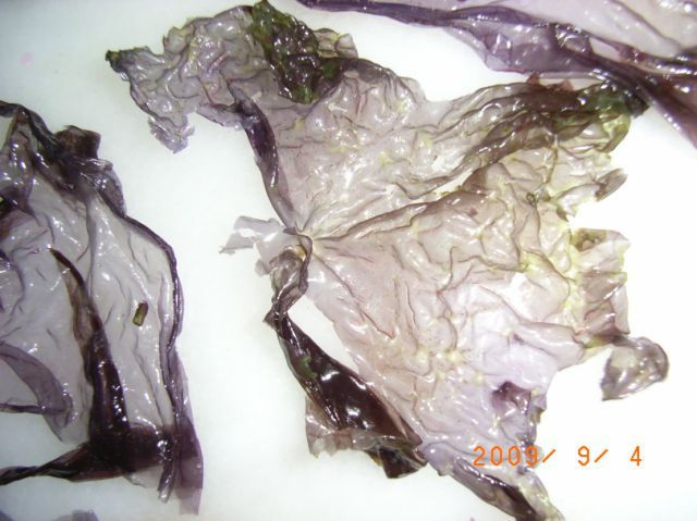 Фальшивые морские водоросли