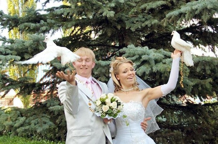 Прикольные свадебные фотки :)