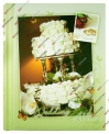 Свадебный фотоальбом, комбинированный 10х15, 15х21, 20х30, JUSD MARRIED, салатовый