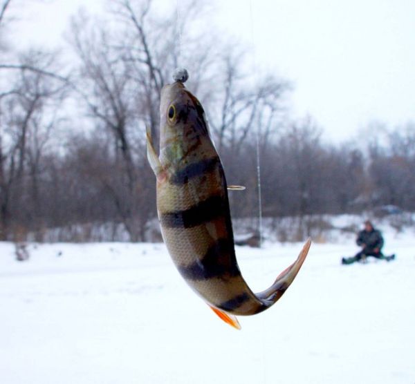 Зимняя рыбалка со всеми удобствами
