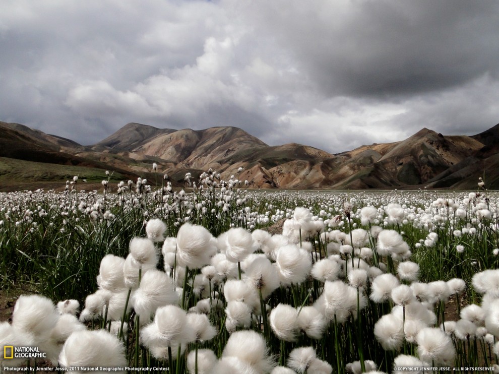 Фото Naional Geographic за январь 2011