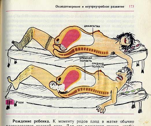 Разрисованные учебники