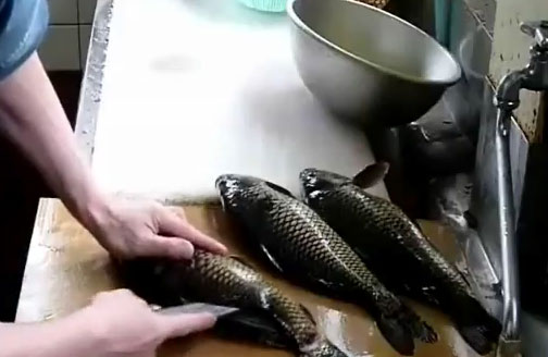 Японцы едят живую рыбу