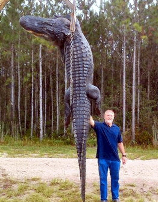 Гигантский крокодил из Флориды