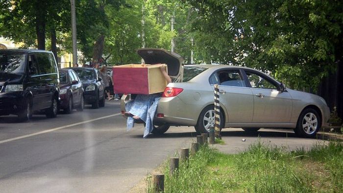 Фото приколы дня