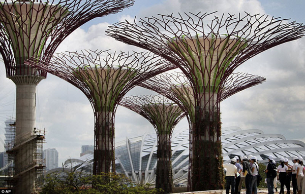 Супер-деревья в Сингапуре