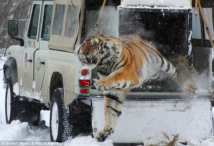 Фото приколы дня