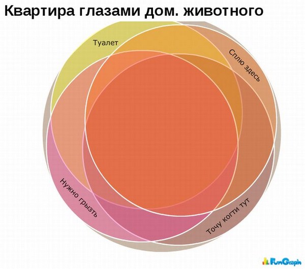 А теперь немного статистики