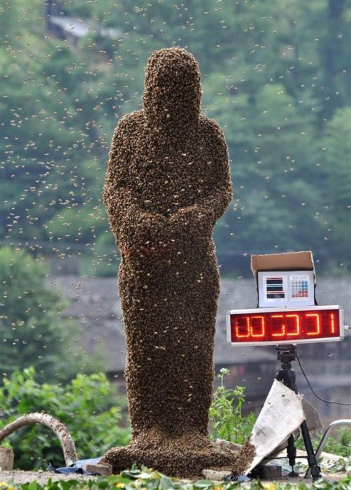 Человек-улей удержал на себе 26 кг пчел