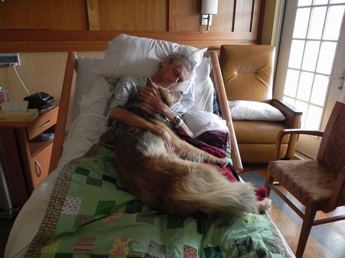Умирающий хозяин прощается со своей собакой