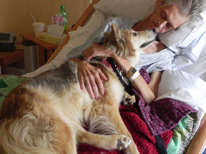 Умирающий хозяин прощается со своей собакой