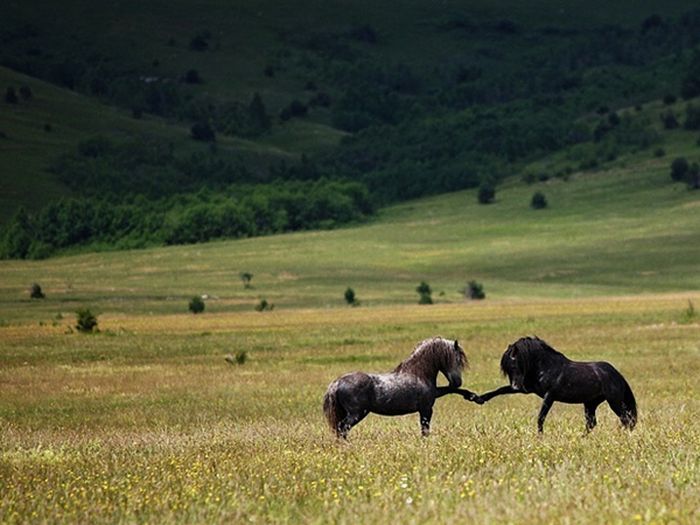 Фото приколы дня