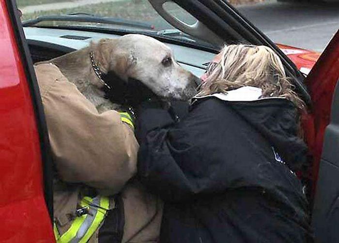 Пожарный сделал собаке искусственное дыхание рот в рот