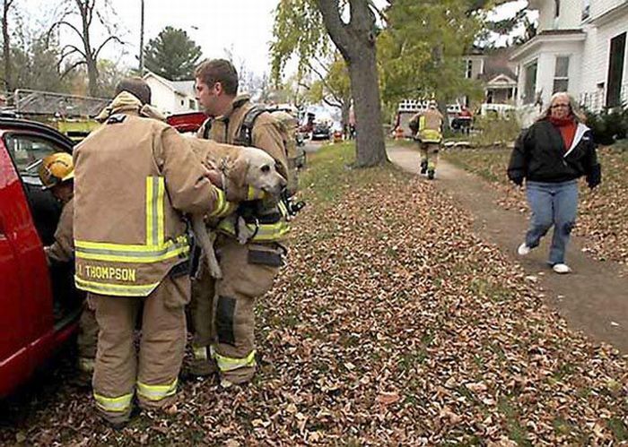 Пожарный сделал собаке искусственное дыхание рот в рот