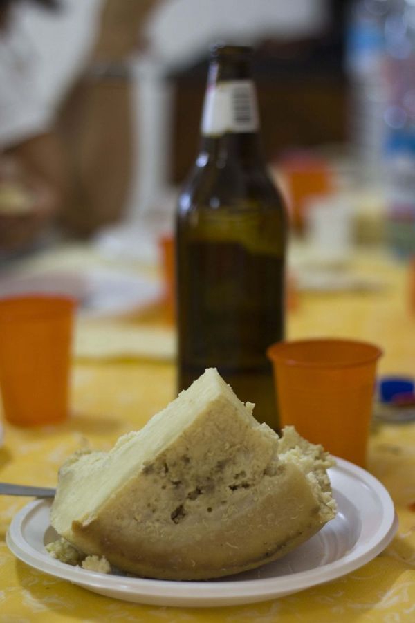 Живой итальянский сыр Касу Марцу