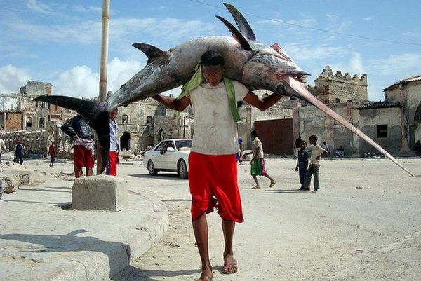 Крупный улов сомалийских рыбаков