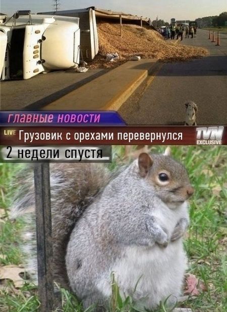 Фото приколы дня