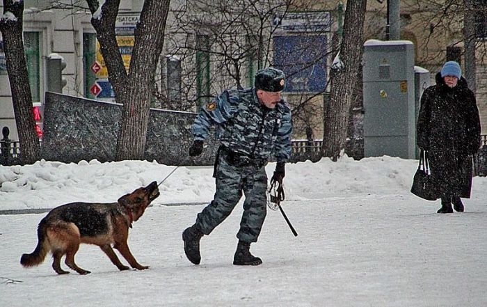 Фото приколы дня