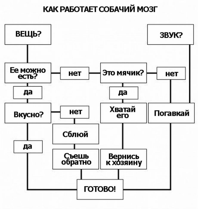 Фото приколы дня