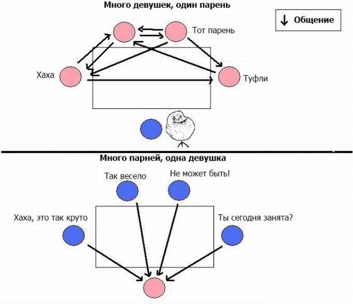 Фото приколы дня