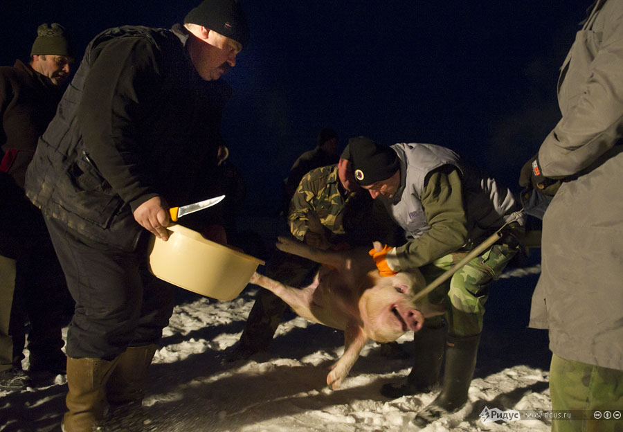 В Закарпатье прошли соревнования резчиков свиней