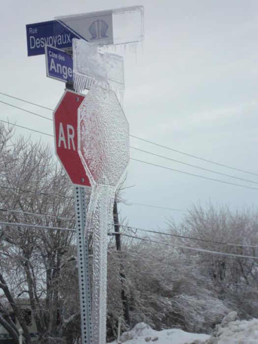 Фото приколы дня