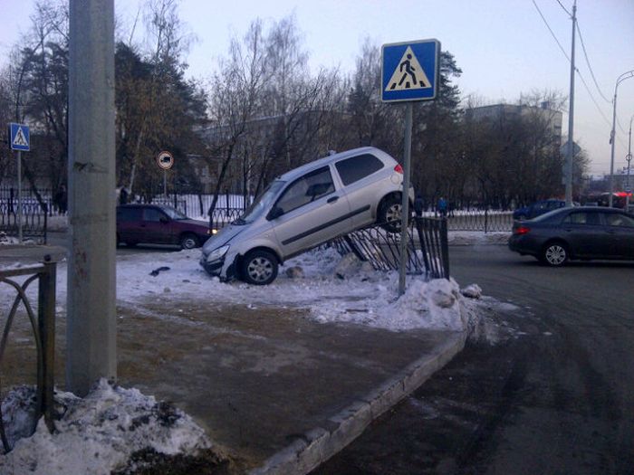 Фото приколы дня