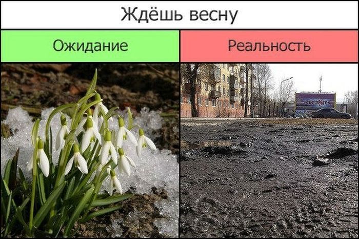 Фото приколы дня