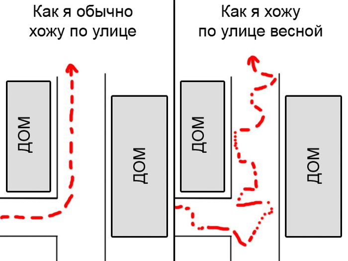 Фото приколы дня