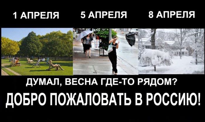 Фото приколы дня