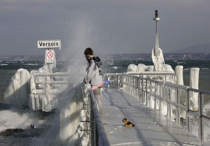 Фото приколы дня