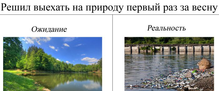 Фото приколы дня