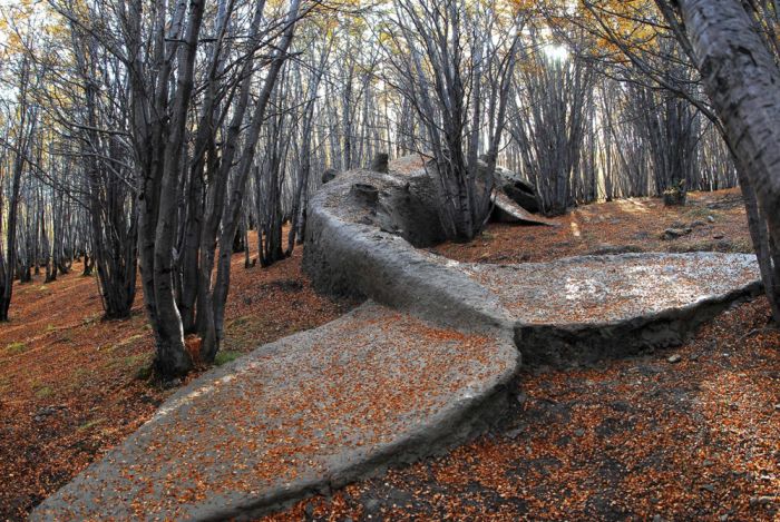 Фото приколы дня