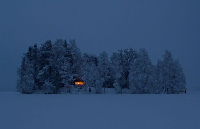 Фото приколы дня