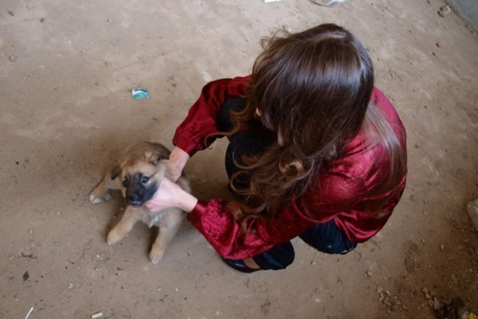 Жительница Татарстана убила щенка ради эротичной фотосессии