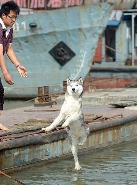 Фото приколы дня