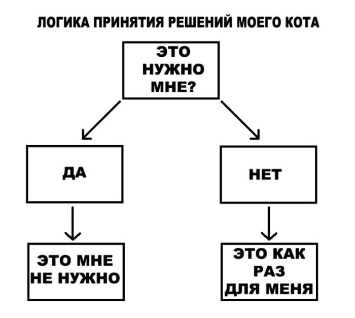 Фото приколы дня