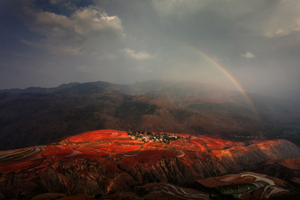 Подборка лучших работ с конкурса фотографии National Geographic