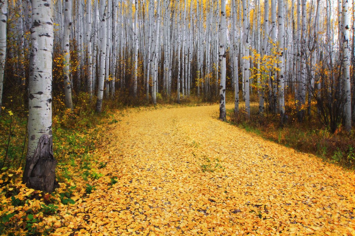 Подборка лучших работ с конкурса фотографии National Geographic