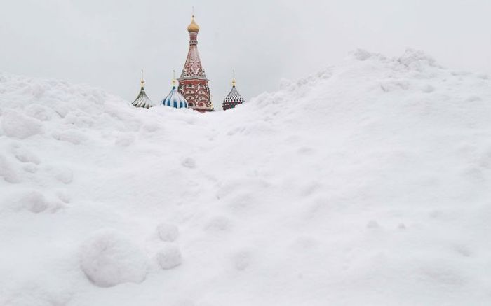 Фото приколы дня